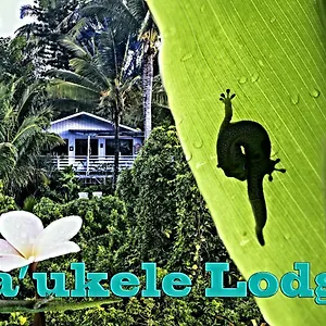 Couette-café Ma'ukele, Pahoa